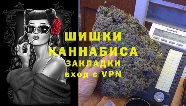 сатива Володарск