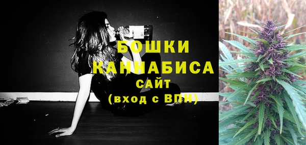 spice Вязьма