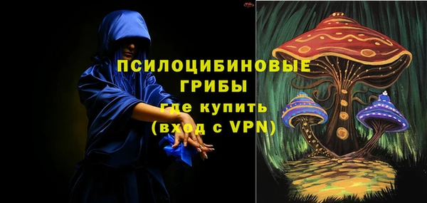 spice Вязьма