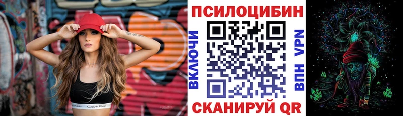 Купить  Кувшиново  Псилоцибиновые грибы мицелий 